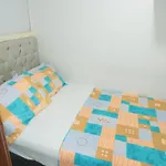 Studio Delfines / Bocagrande