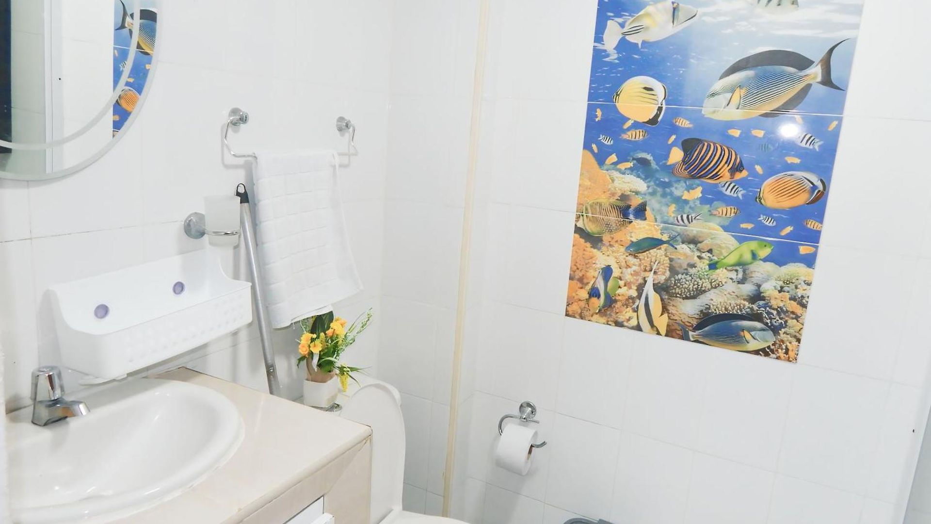 Delfines / Bocagrande Apartamento